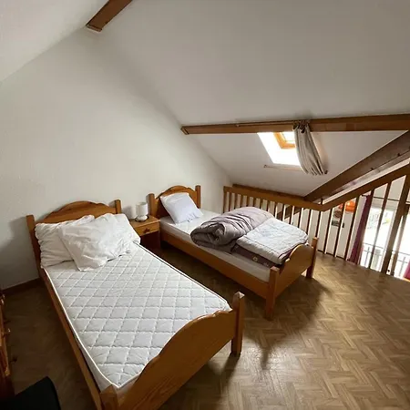 En Duplex, Animaux Ok - 4 Pers. Face Aux Pistes - Fr-1-787-152 Appartement