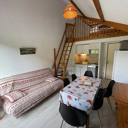 En Duplex, Animaux Ok - 4 Pers. Face Aux Pistes - Fr-1-787-152 *